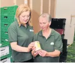  ??  ?? Helping hands Volunteer Andrea Thomson and manager Isobel Graham check the dates on produce