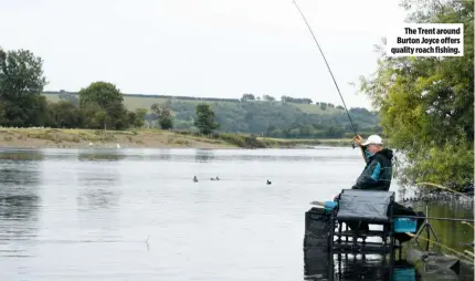  ??  ?? The Trent around Burton Joyce offers quality roach fishing.