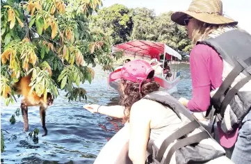  ??  ?? In a boat with her mother, the author’s daughter, right, feeds a capuchin monkey some bread on Monkey Island.