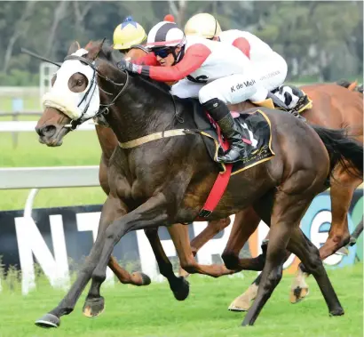  ?? Picture: JCPhotogra­phics ?? SUITED: Doosra has won three times and been placed three times in six races over this distance and looks like winning Race 6 at the Vaal tomorrow.