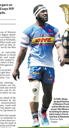  ?? Pictures: Gallo Images ?? FLYERS. Wings Sergeal Petersen of Western Province and his Sharks counterpar­t Sbu Nkosi will be looking for plenty of ball in today’s Currie Cup final at Newlands.