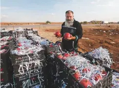  ?? AFP ?? Syrian vendor Abu Ala’a waits for Jordanian customers to sell them pomegranat­es at the recently reopened Naseeb border post in Daraa province on the Syrian-Jordanian border.