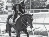  ?? Skip Dickstein /Albany Times Union contributo­r ?? Trainer Bob Baffert will not be in Baltimore to watch Medina Spirit race in the Preakness.