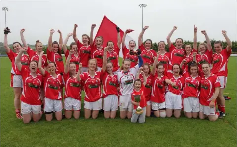  ??  ?? Fethard St. Mogue’s celebratin­g their Junior championsh­ip victory over HWH-Bunclody in Taghmon on Sunday.