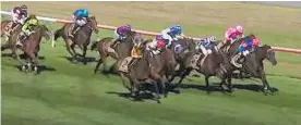  ?? ?? He No Opilio (pink cap) was narrowly beaten in the $300,000 NZ Campus of Innovation and Sport Wellington Cup last weekend.