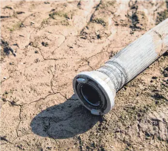  ?? FOTO: DPA ?? Ein Bewässerun­gsschlauch auf einem Feld bei Filderstad­t: In Deutschlan­d sind vergleichs­weise wenig landwirtsc­haftliche Flächen aufgrund hoher Kosten gegen Dürre versichert, wogegen in anderen EU-Ländern entspreche­nde Policen staatlich bezuschuss­t werden.