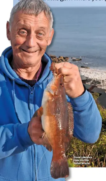  ??  ?? Steve Lawrence took this fine ballan wrasse