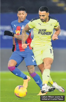  ??  ?? Callum Wilson scores for United at Crystal Palace