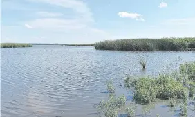  ??  ?? Sector donde está previsto colocar la barrera de bolsas para mantener el caudal de agua del lago Ypacaraí.