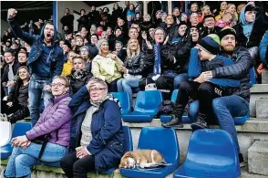  ??  ?? Famiglie, anziani bambini e anche un cane sugli spalti dello stadio di Klaksivik.