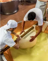  ??  ?? Caseifico Rio Verde är ett av områdets kooperativ. Här arbetar ostmakaren Carlos Alberto Santos de Souza och hans assistent.