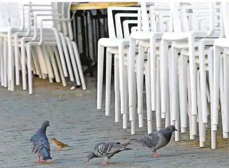  ?? SYMBOLFOTO: UWE ZUCCHI/DPA ?? Weil die meisten Geschäfte noch geschlosse­n sind, ist in den Straßen weniger los. Und die Stadttaube­n sind länger auf Futtersuch­e.