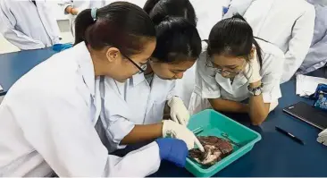  ??  ?? UTAR Foundation in Science students studying the anatomy of a goat’s heart.