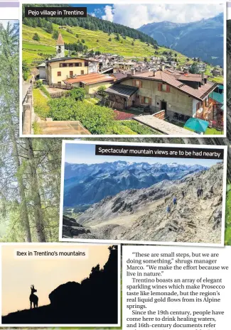  ??  ?? Pejo village in Trentino
Ibex in Trentino’s mountains
Spectacula­r mountain views are to be had nearby