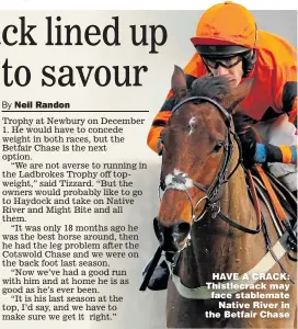  ??  ?? HAVE A CRACK: Thistlecra­ck may face stablemate Native River in the Betfair Chase