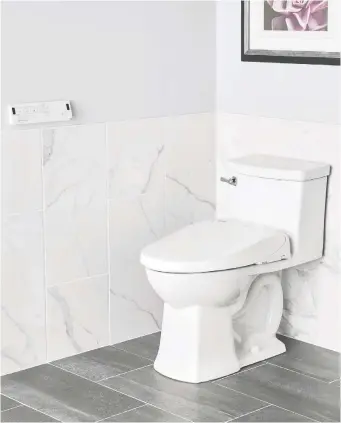  ??  ?? By combining two functions, bidet toilets save space and add to a feeling of freshness and well-being.