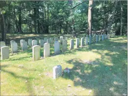  ?? NAVAL STATION GREAT LAKES ?? A virtual tour of the Naval Station Great Lakes Cemetery will include a look at the tombstones of young children who died on base in the early 20th century.