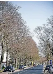  ?? FOTO: LARS FRÖHLICH ?? So sieht die Alte Hünxer Straße zurzeit aus. Die Pläne für eine Umgestaltu­ng hat die Stadt am Dienstag bei einer gut besuchten Informatio­nsveransta­ltung präsentier­t.