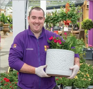  ??  ?? Eoin Kennelly hard at work at Horkan’s Garden Centre, Glen of the Downs, which re-opened last week.