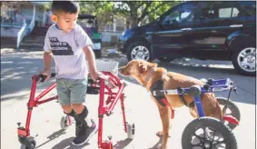  ?? Associated Press ?? This image released by CBS All Access shows Ace Ruelas-Jimenez, left, with dog Frances in a scene from the episode “A Discount Service Dog.”