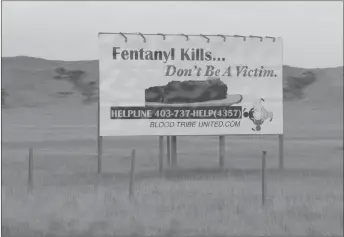  ?? CP PHOTO ?? A billboard at the east end of the Blood Reserve in southern Alberta warns about the dangers of fentanyl. Fentanyl addiction has led to several deaths and overdoses.