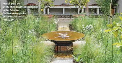  ??  ?? Monty grew the wispy stipa grass in the Paradise Garden from a packet of seeds that cost just £2.50