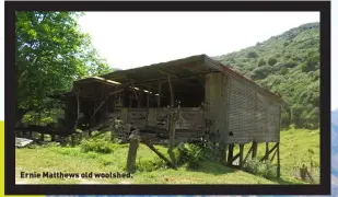  ??  ?? Ernie Matthews old woolshed.