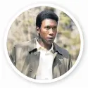  ??  ?? Mahershala Ali in True Detective.