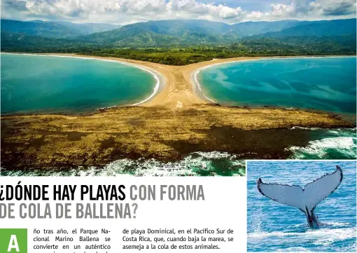  ??  ?? Desde el aire, las formas de playa Dominical –en la foto más grande– recuerdan la cola de una de las numerosas ballenas que pueden avistarse en sus proximidad­es.