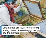  ??  ?? Cold frames are ideal for nurturing young plants before they go out into the garden