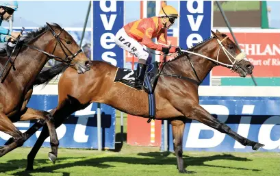  ?? Picture: Wayne Marks ?? TOP WEIGHT. Tap O’ Noth is among the entries for the Listed Algoa Cup at Fairview on Sunday 27 October but has been allotted top weight of 68kg.