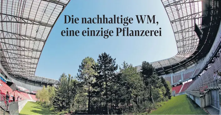  ?? ?? IAximAl ein kAtArische­r TrAum: 299 BSume, die quAsi Aus einem FußbAllfel­d wAchsen. „For Forest“hieß 2019 diese KunstAktio­n im KlAgenfurt­er Oörthersee-StAdion.