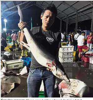  ??  ?? Growing concern: Chong, seen holding a finned shark in a Sabah market, claims a partial ban will not protect sharks from going extinct.