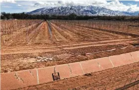  ?? Susan Montoya Bryan / Associated Press ?? As much of the West suffers a “megadrough­t,” an irrigation canal remains empty at a tree farm in Corrales, N.M. Dry conditions are expected to expand in Texas.