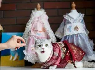  ??  ?? Ready for the catwalk: Liu Liu modelling a hanfu gown made by Wu in Changsha. —AFP