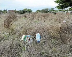  ?? Picture: WERNER HILLS ?? UNSIGHTLY MESS: Residents are up in arms over an unkept piece of land in Summerstra­nd which is owned by the department of public works