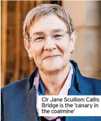  ?? ?? Clr Jane Scullion: Callis Bridge is the ’canary in the coalmine’