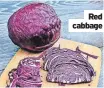  ?? ?? Red cabbage