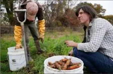  ?? Anthony Souffle/Minneapoli­s Star Tribune/TNS ?? Vegetable farmer Kristin Pearson and her field manager, Jay Acker, harvest carrots on rented land in Oronoco, Minn., last month.