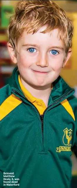  ?? ?? Beloved: Matthew Healy, 6, was found dead in Waterford