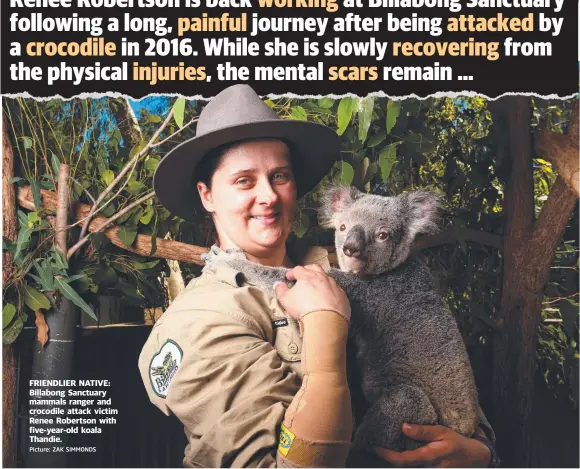  ?? Picture: ZAK SIMMONDS ?? FRIENDLIER NATIVE: Billabong Sanctuary mammals ranger and crocodile attack victim Renee Robertson with five- year- old koala Thandie.