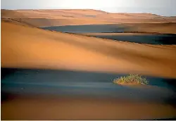  ?? PER-ANDERS PETTERSSON/GETTY ?? The dunes of the Skeleton Coast in Kunene, Namibia.