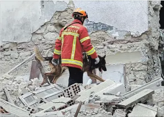  ?? CLAUDE PARIS THE ASSOCIATED PRESS ?? A firefighte­r takes the help of a sniffer dog to locate possible trapped people in the debris of a collapsed building in Marseille, southern France, Monday. There was no immediate word on any casualties.