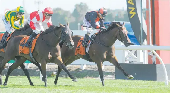  ?? Picture / Trish Dunell ?? Xbox narrowly beats Mongolianc­onqueror in the $100,000 Waikato Guineas a Te Rapa yesterday.