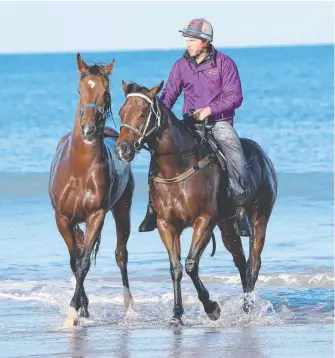  ??  ?? Trainer Aaron Purcell has the support of several owners involved with Ciaron Maher’s stable.