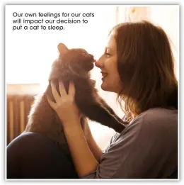  ??  ?? Our own feelings for our cats will impact our decision to put a cat to sleep.
Lauren wrote about her experience­s of making end of life decisions for her late cat Barry and how she managed this as both a devoted owner and cat specialist.You can read it in the December 2020 issue
of Your Cat or find it online at www.yourcat.co.uk