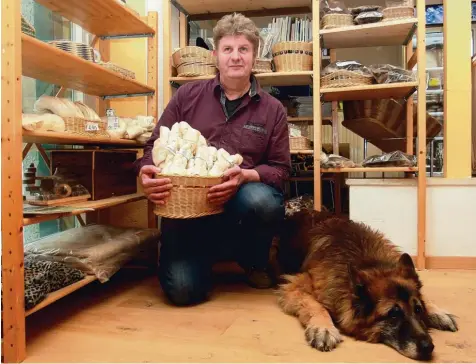  ?? Foto: Annette Zoepf ?? Blindenhün­din Taiga hat Stefan Kessler vor dem Einschläfe­rn bewahrt. Er hat ihre Ernährung auf biologisch artgerecht­e Rohfütteru­ng umgestellt. Darauf schwört der Augs burger, der seit sechs Jahren das Tierfutter­geschäft im Domviertel betreibt.