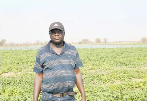  ??  ?? Hard work... Elifas Nuujoma at his farm in Omusati region.