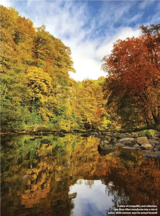  ??  ?? A place of tranquilli­ty and reflection, the River Allen transforms into a riot of colour when summer says its annual farewell