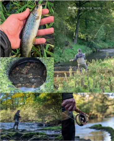  ??  ?? Clockwise from top left: A typical Avon brownie; shallow pools of the upper Avon valley; the tools of the trade; in the heart of the Avon Gorge; pots at the Avon Gorge waterfalls.